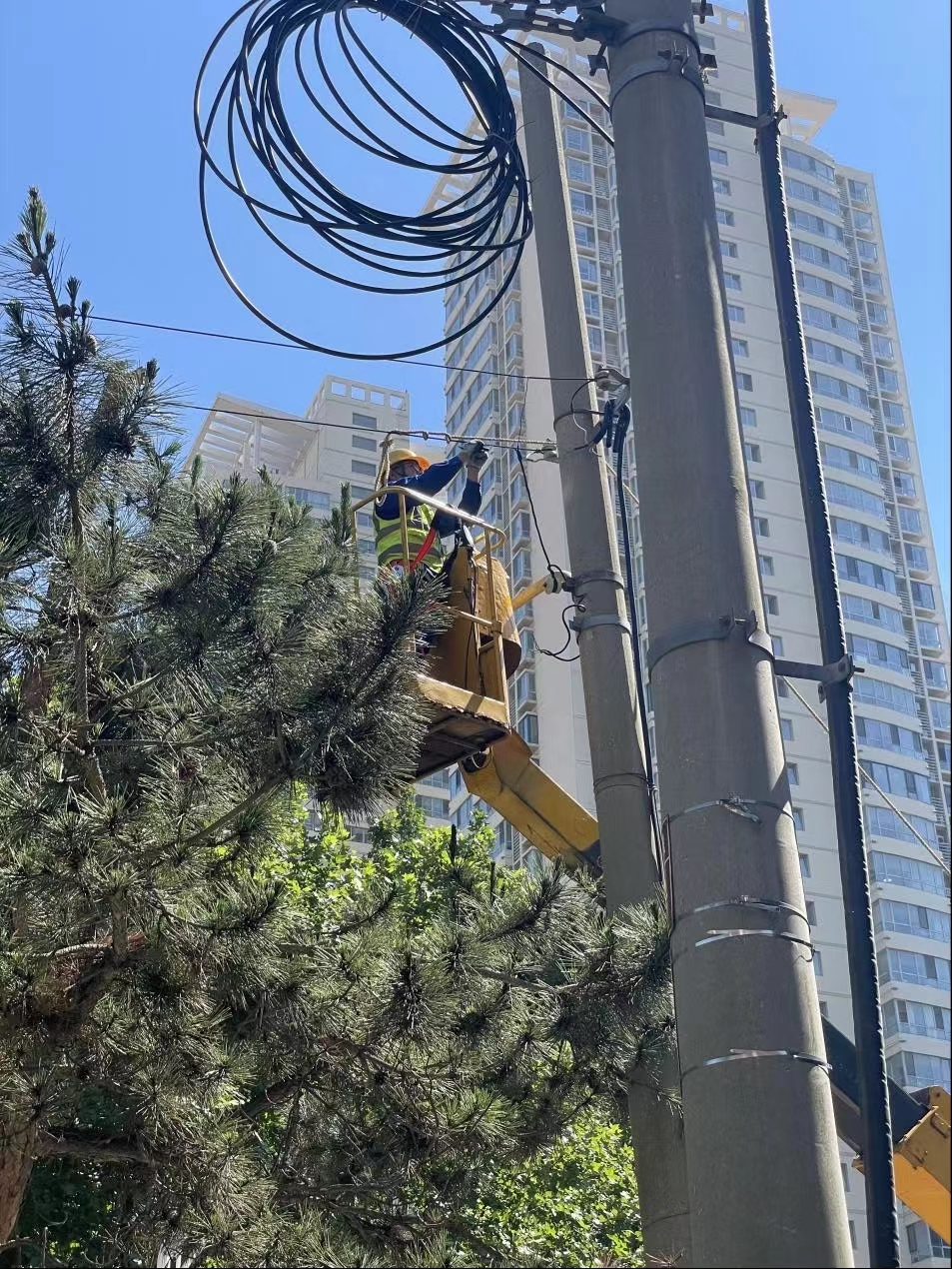 微信图片_20240718151139 微信图片_20240718151139